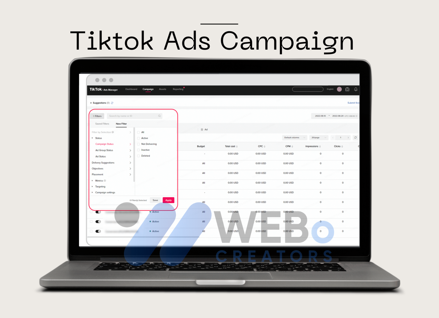 TikTok ads management campaigns in Austin